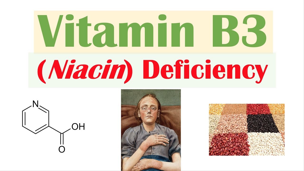 Niacinamid neboli vitamin b3